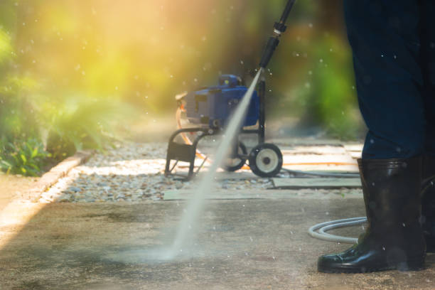 Animal Enclosure Cleaning in Clintondale, NY